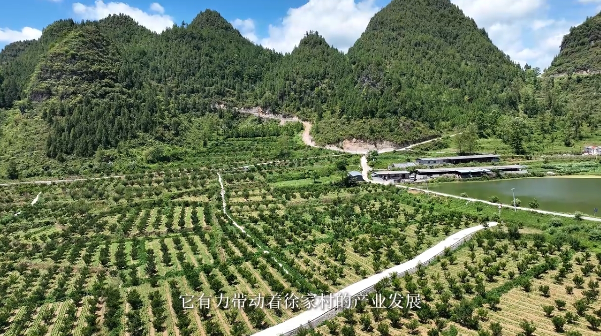 1728983438311857.png 1728983438311857.png